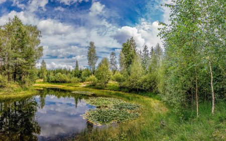 Река Березка Тверская область
