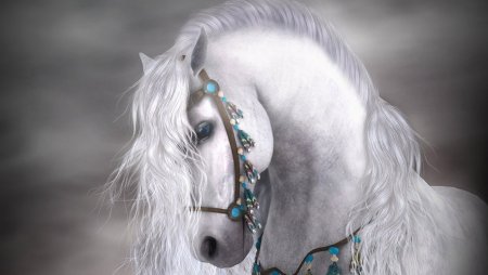 Красивая белая лошадь