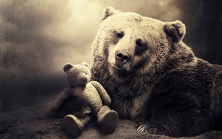 Медведь обои