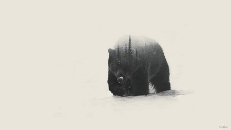 Медведь арт