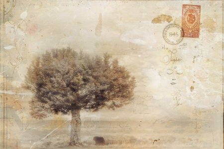 Винтажные фоны