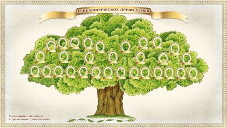 Родословное дерево семьи