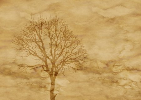 Фон для дерева родового