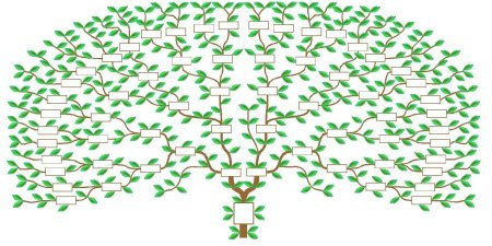 Генеалогическое Древо семь поколений