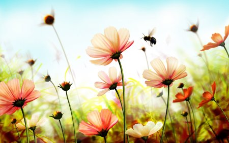 Природа цветы