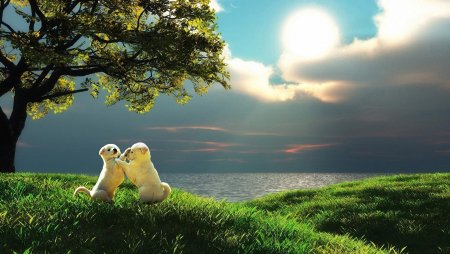 Позитивная природа