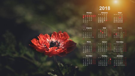 Фон для календаря