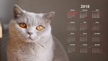 Фон для календаря