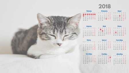 Календарь на рабочий стол