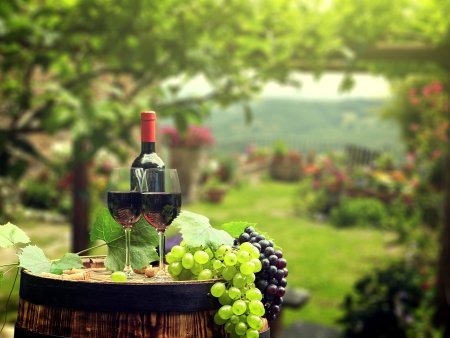 Молдавия виноградники и вино