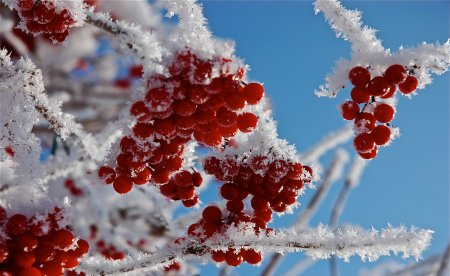 Обои на рабочий Сток зима