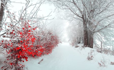 Зимний фон на рабочий стол