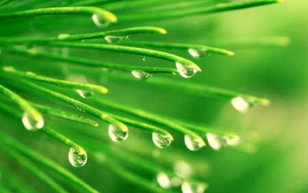 Фон капли росы