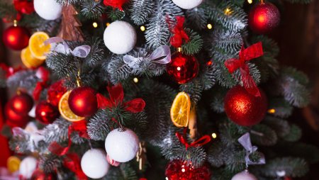 Новогодние мишки