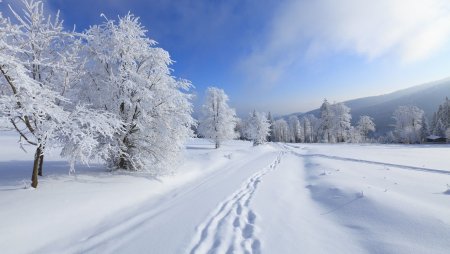 Зима пейзаж