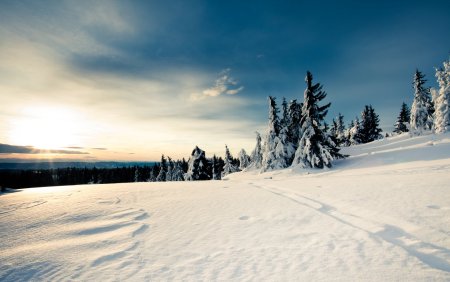 Снежная равнина