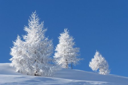 Зима снег