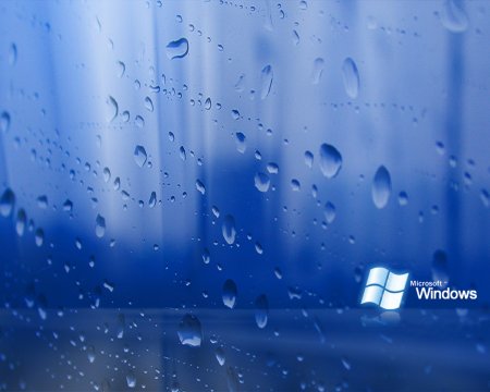 Фон Windows XP zver