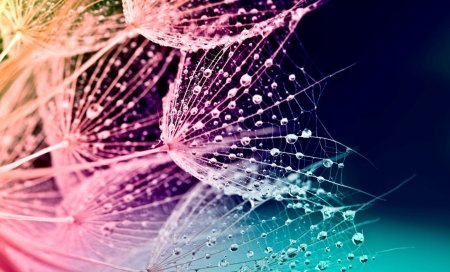 Картинки на рабочий стол телефона вертикальные