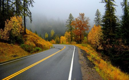 Осенняя дорога в лесу