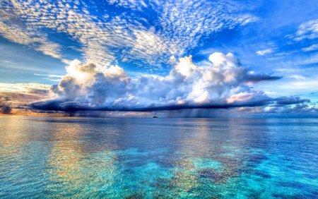 Моря и океаны