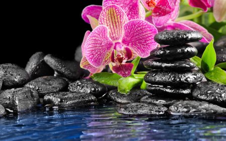 Фотообои красивые