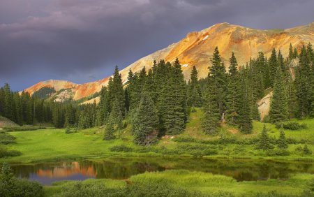 Лес горы