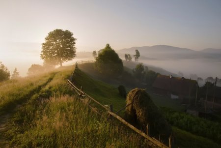 Раннее утро в деревне