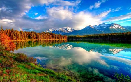 Красивая природа