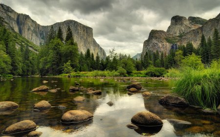 Йосемити каменный лес