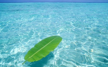 Чистое прозрачное море