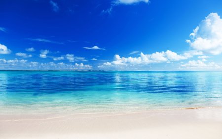 Фон море