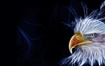 Орел на заставку