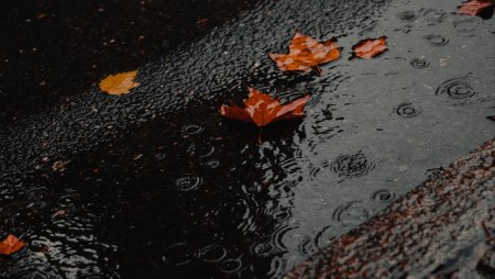 Проливной дождь
