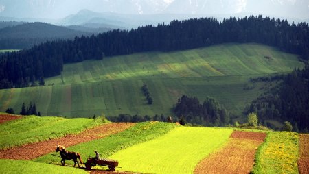 Августовский пейзаж на рабочий стол
