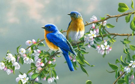 Природа птицы
