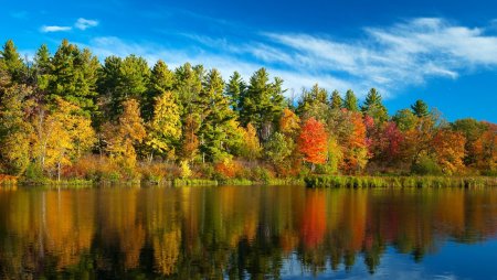 Золотая осень озеро природа река лес