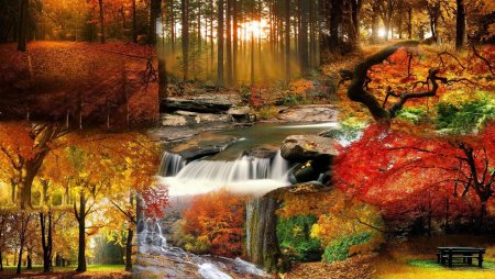 Экранные заставки осень