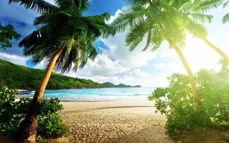 Anse Lazio пляж