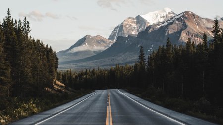 Дорога лес горы