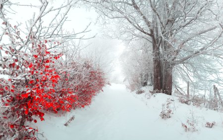 Зимний фон на рабочий стол