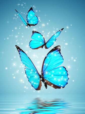 Фон бабочки