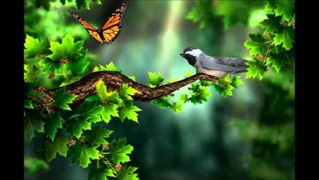 Темы для планшета андроид