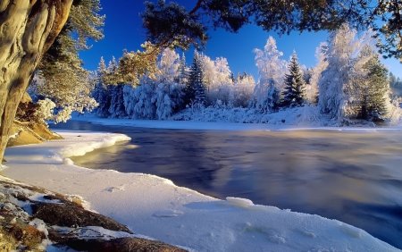 Зима ранняя природа вертикальные