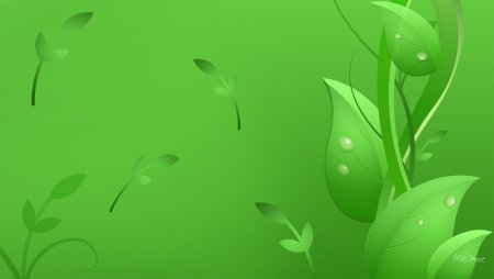 Зеленые обои