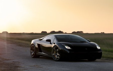 Lamborghini Gallardo Black