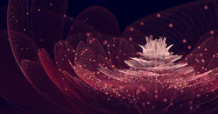 Сильвия Кордедда Фрактальная Графика