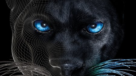 Глаза пантеры