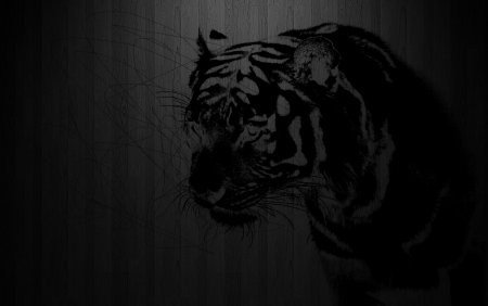 Тигр на черном фоне рисунок