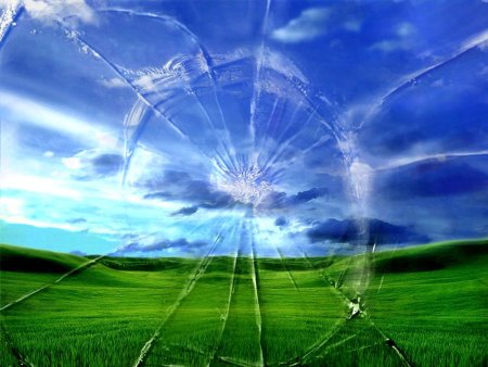 Тюльпаны Windows XP